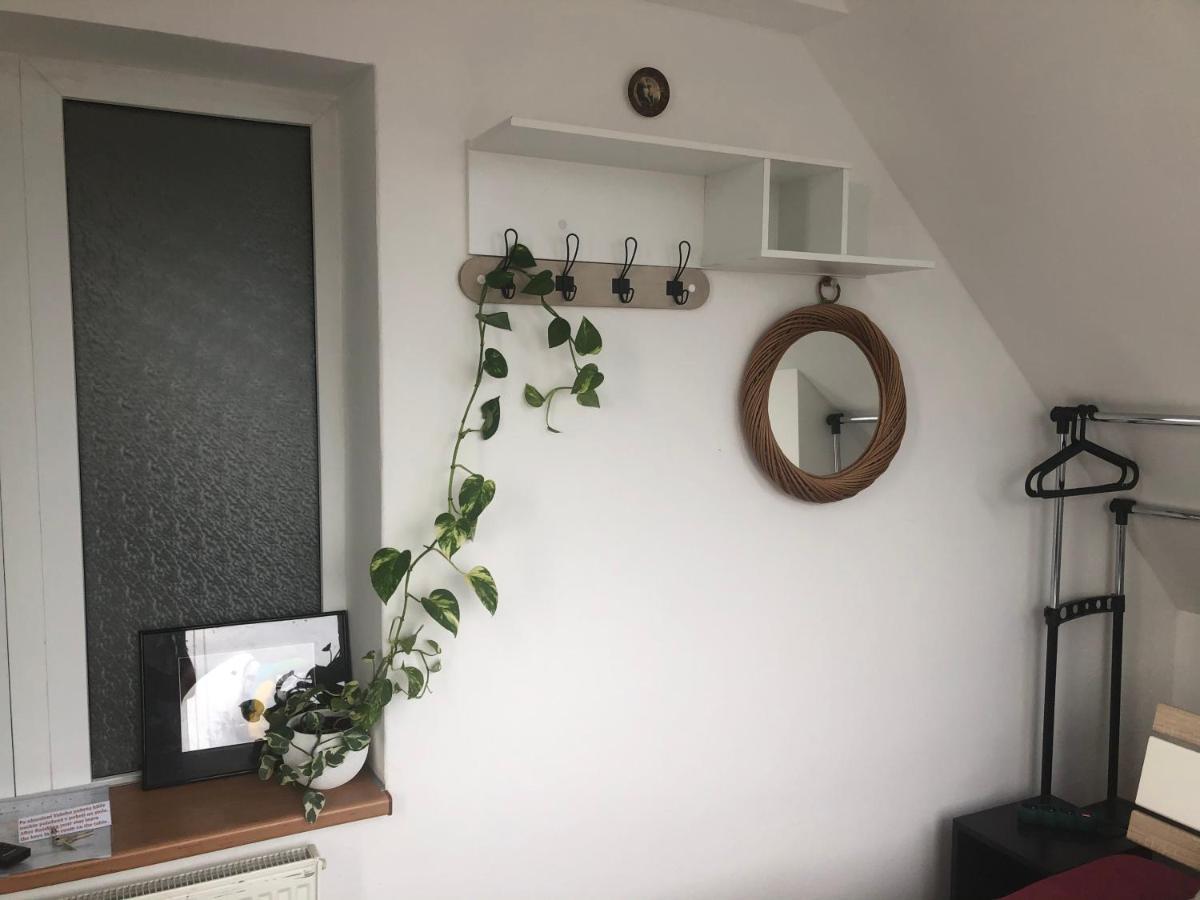 Homestay U Hanky Zdiby Eksteriør bilde